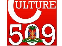 www.culture509.com