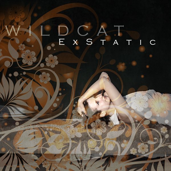 ReverbNation profile picture for @wildcat