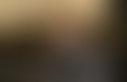 1430245248 img 2545