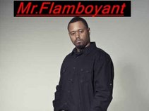 Mr. Flamboyant