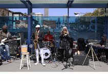 THE NEW LOAFERS AND SNEAKERS BAND