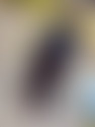 8d7d509a 5495 4d95 b164 7becb73e11d6