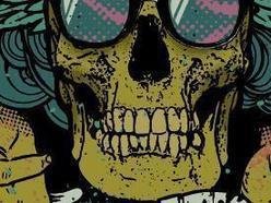 Image for Scatterbrain