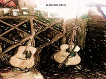 Blackfoot Daisy