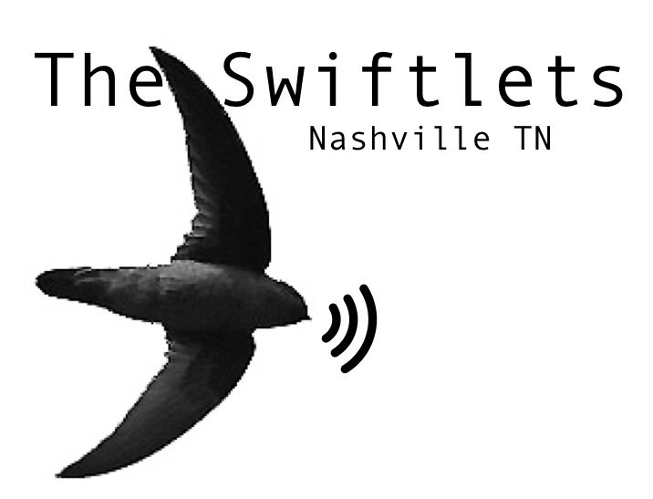 The Swiftlets | ReverbNation