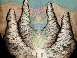 Image for WIDOWS