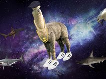 Leisure Suit Llama