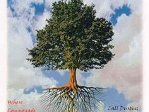 The Lemmontree Studio