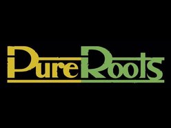 Image for Pure Roots