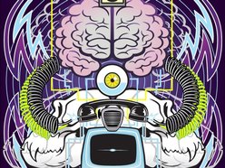 Image for The Sly Digs