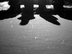 Image for Capital H