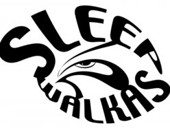 Image for Sleepwalkas