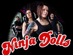 Image for Ninja dolls