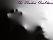 The Shadow Coalition