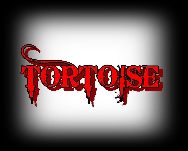 ReverbNation profile picture for @tortoise