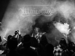 Image for Maiestas | Dallas, Texas.