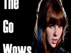 Image for The Go Wows