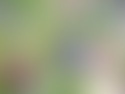 Dscn4412a 2