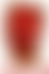 1439408725 clip image001 1256043636