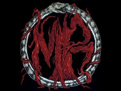 Image for Morbid Roots