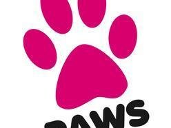 ReverbNation profile picture for @paws