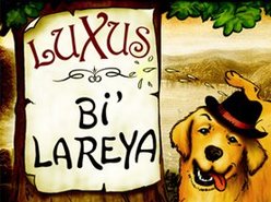 Image for LUXUS