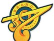 Brand 307