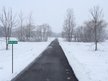 Gentry Lane
