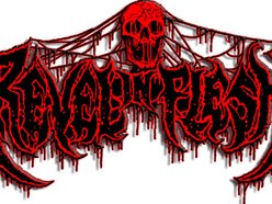 Image for Revel in Flesh