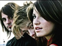 Sick Puppies