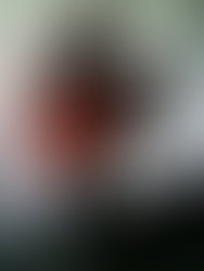 1327796140 faceurchins2