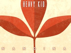 Image for Heavy Kid