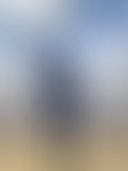 Artist 2367414 1668482552