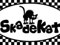 SkadeKat