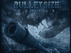 Image for Bulletsize