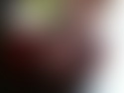 1328098383 img 20110902 082535