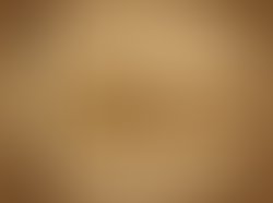 1328135782 parchment cover