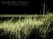 synthetic Desire