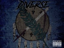 Diverze