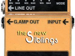 Image for The New Siblings