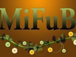 Image for aMiFuBa