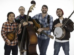 Image for Hot Day at the Zoo