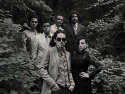 Image for Monkeys in the Dark