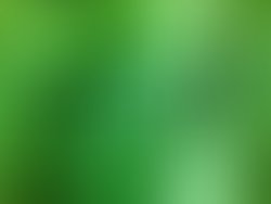 1328905379 cagney0216