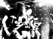 Krysantemia