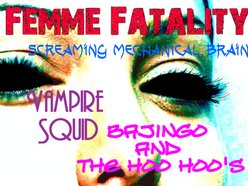 Image for Bajingo and the Hoo Hoo's
