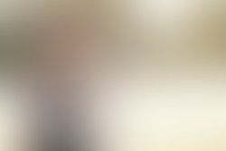 1328979623 thebirdpicture