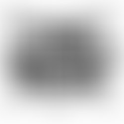 12472814 986330738069708 1328443362921951689 n