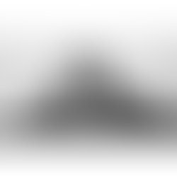 Artist 24021 1469744633