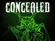 CONCEALED